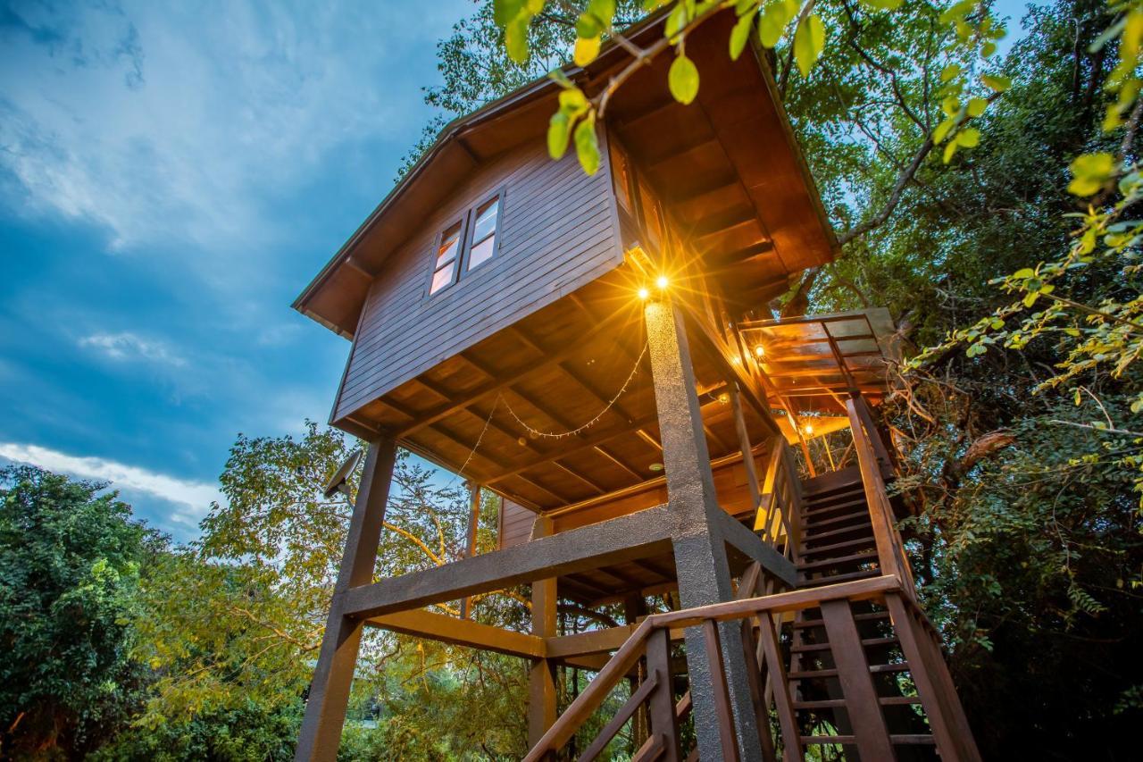 Sigiriya King'S Resort ภายนอก รูปภาพ