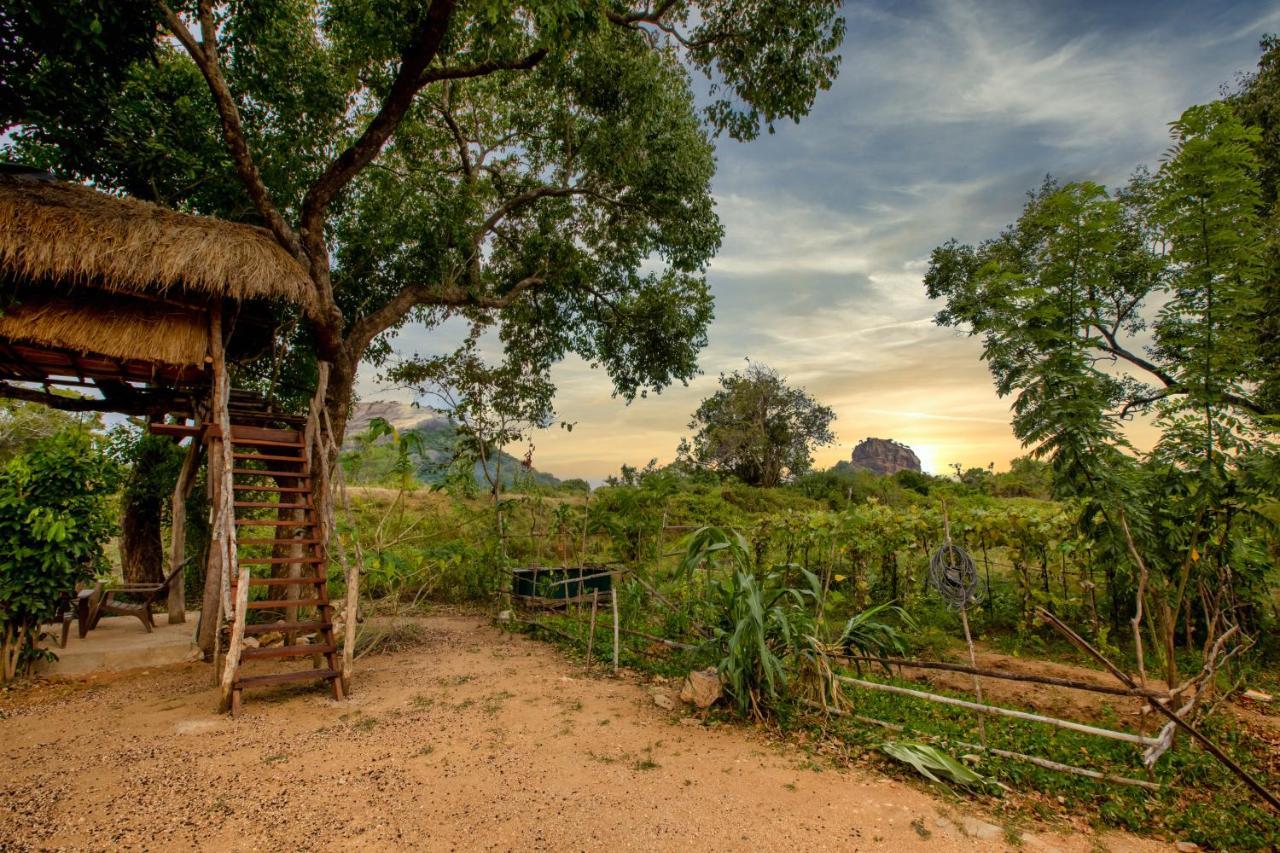 Sigiriya King'S Resort ภายนอก รูปภาพ
