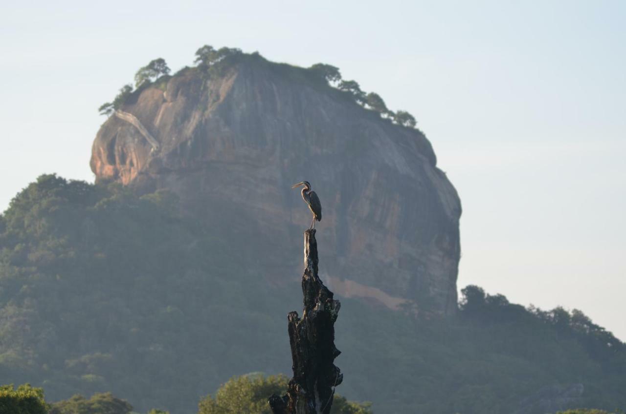 Sigiriya King'S Resort ภายนอก รูปภาพ