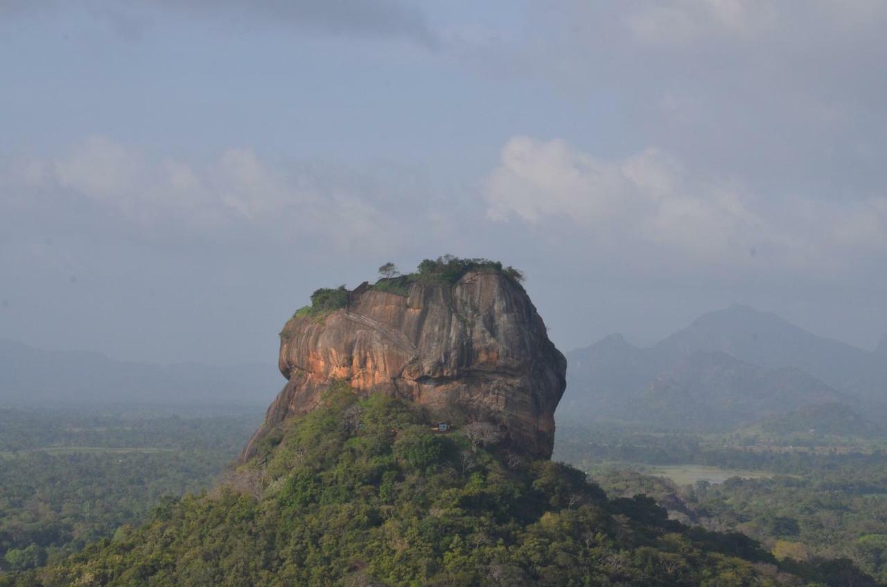 Sigiriya King'S Resort ภายนอก รูปภาพ