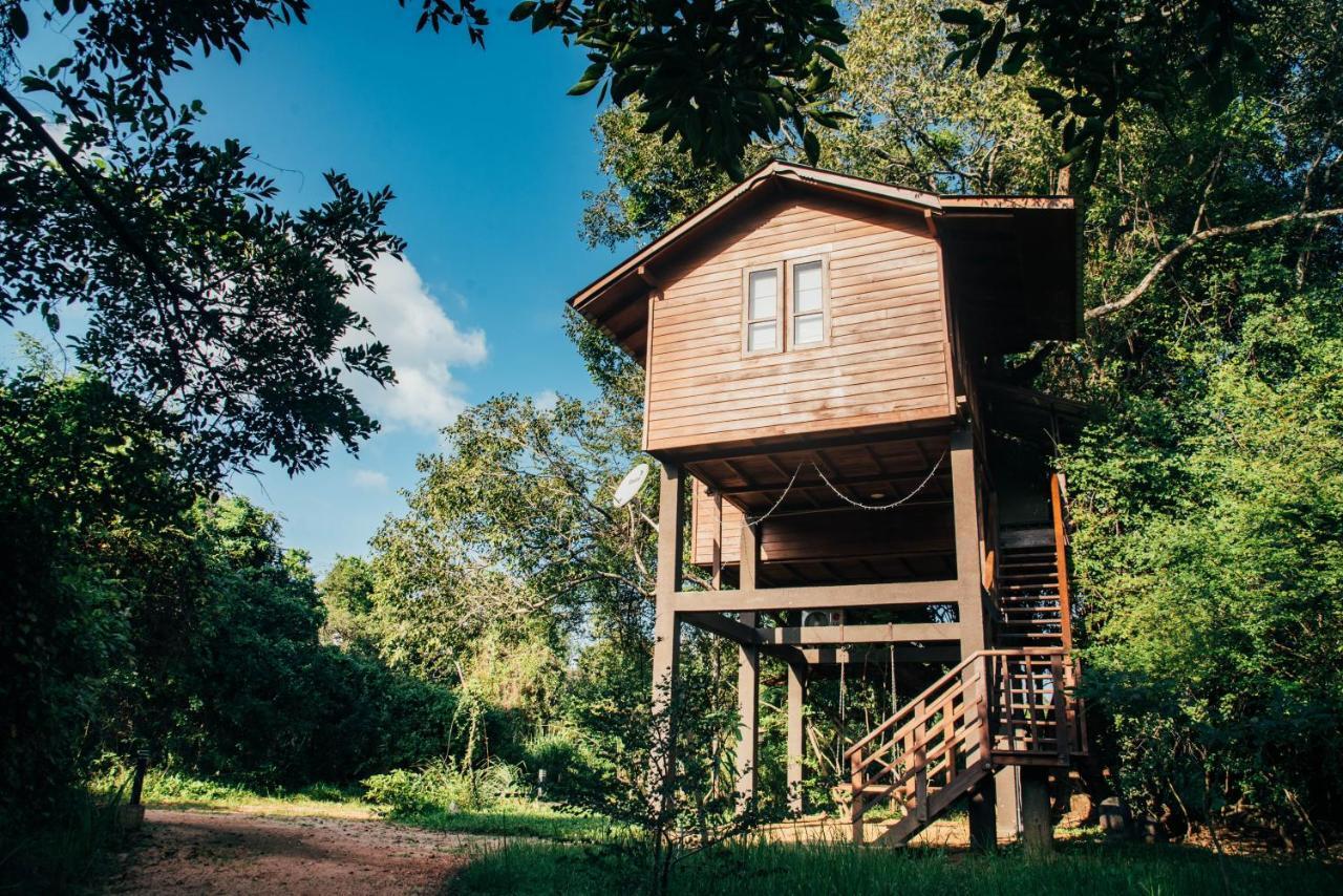 Sigiriya King'S Resort ภายนอก รูปภาพ
