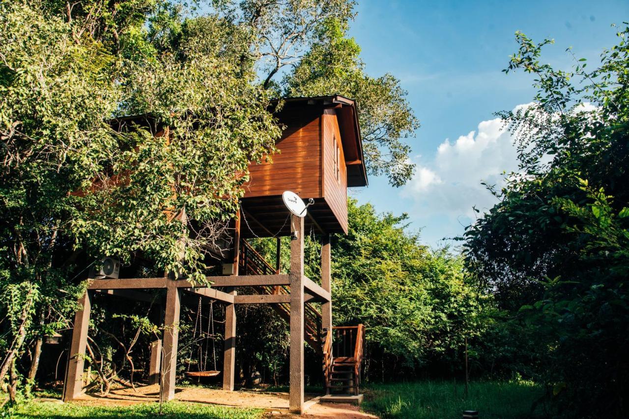 Sigiriya King'S Resort ภายนอก รูปภาพ