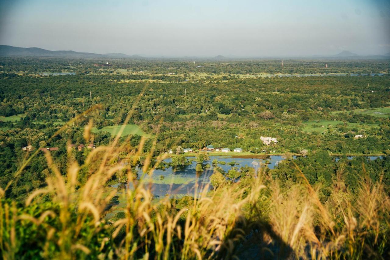 Sigiriya King'S Resort ภายนอก รูปภาพ